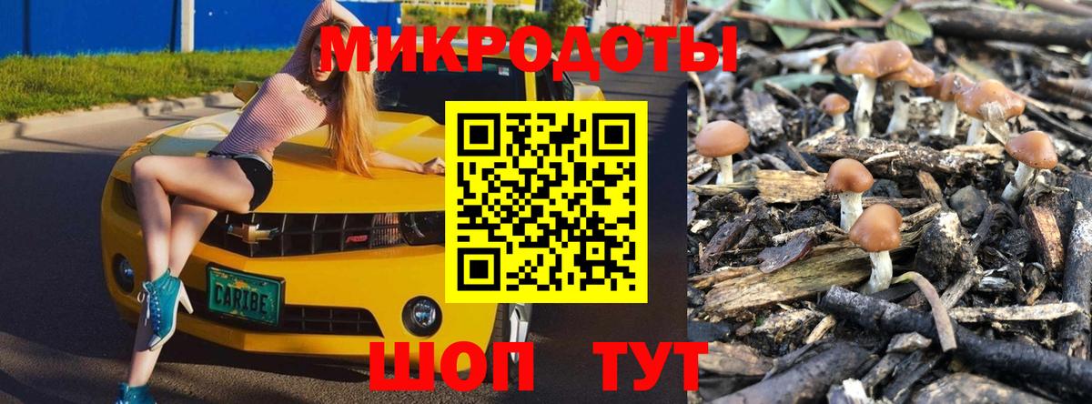 Ивантеевка  Псилоцибиновые грибы прущие грибы  Вход с VPN 